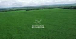 Fazenda de Soja à Venda 6.000 hectares Estrutura Completa | Fortaleza dos Nogueiras/ MA