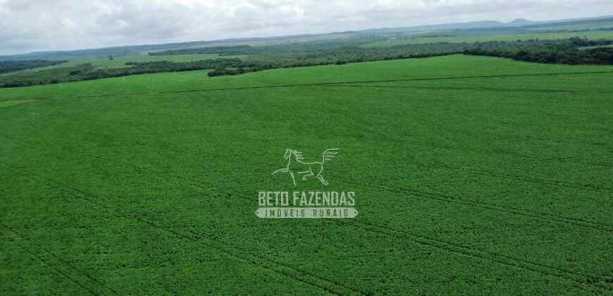 Fazenda de Soja à Venda 6.000 hectares Estrutura Completa | Fortaleza dos Nogueiras/ MA