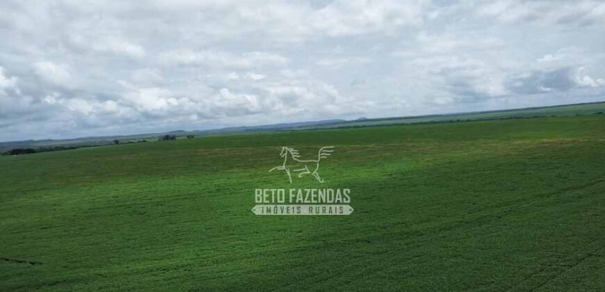 Fazenda de Soja à Venda 6.000 hectares Estrutura Completa | Fortaleza dos Nogueiras/ MA