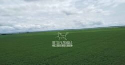 Fazenda de Soja à Venda 6.000 hectares Estrutura Completa | Fortaleza dos Nogueiras/ MA