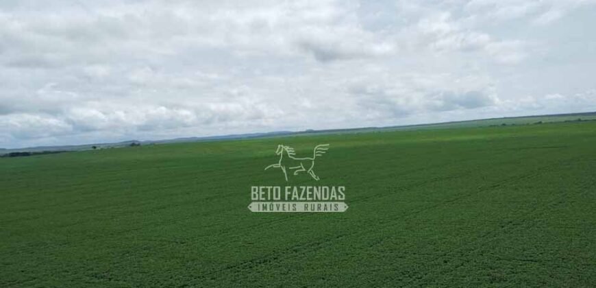 Fazenda de Soja à Venda 6.000 hectares Estrutura Completa | Fortaleza dos Nogueiras/ MA