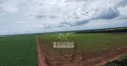 Fazenda de Soja à Venda 6.000 hectares Estrutura Completa | Fortaleza dos Nogueiras/ MA
