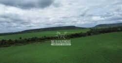 Fazenda de Soja à Venda 6.000 hectares Estrutura Completa | Fortaleza dos Nogueiras/ MA
