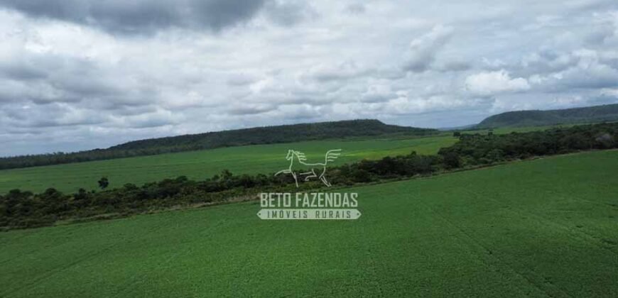 Fazenda de Soja à Venda 6.000 hectares Estrutura Completa | Fortaleza dos Nogueiras/ MA
