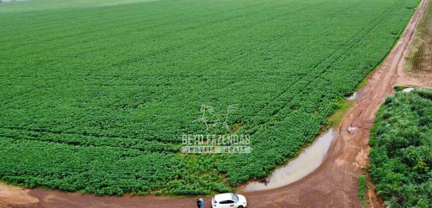 Fazenda de Soja à Venda 6.000 hectares Estrutura Completa | Fortaleza dos Nogueiras/ MA