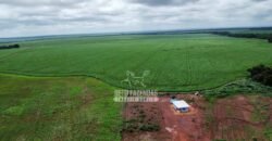 Fazenda de Soja à Venda 6.000 hectares Estrutura Completa | Fortaleza dos Nogueiras/ MA