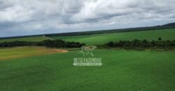 Fazenda de Soja à Venda 6.000 hectares Estrutura Completa | Fortaleza dos Nogueiras/ MA