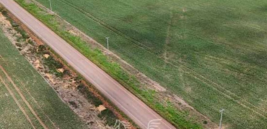 Fazenda à Venda 49.000 Hectares Soja, Milho e Algodão Pista Pouso | Mato Grosso