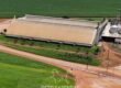 Fazenda à Venda 49.000 Hectares Soja, Milho e Algodão Pista Pouso | Mato Grosso