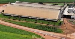 Fazenda à Venda 49.000 Hectares Soja, Milho e Algodão Pista Pouso | Mato Grosso