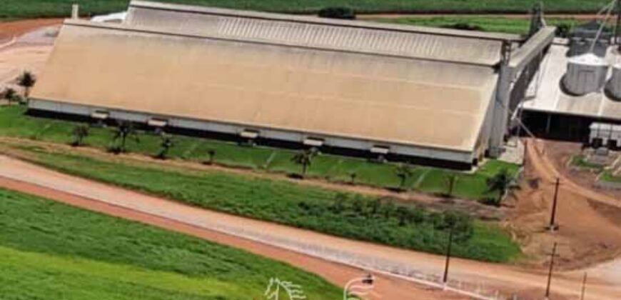 Fazenda à Venda 49.000 Hectares Soja, Milho e Algodão Pista Pouso | Mato Grosso