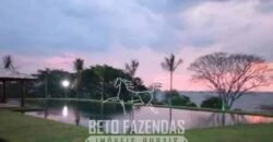 Fazenda de Cana e Pecuária à Venda 314,6 hectares Dupla Aptidão | Panorama/ SP