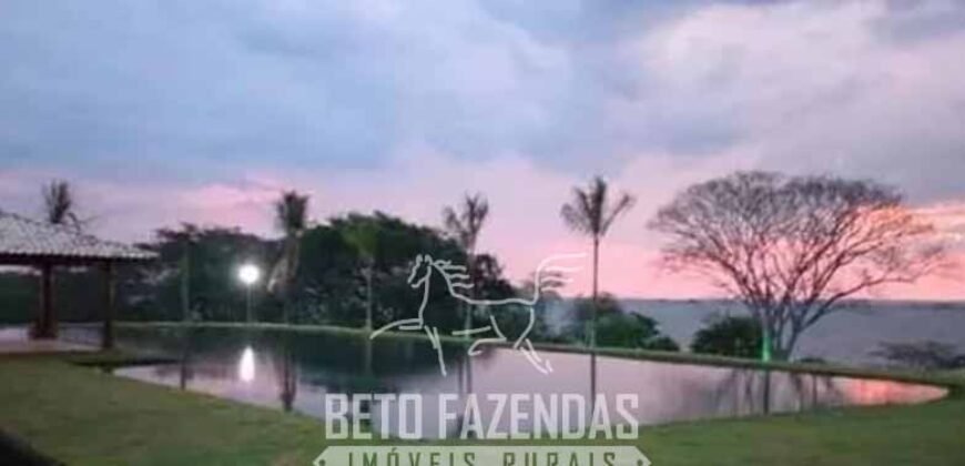 Fazenda de Cana e Pecuária à Venda 314,6 hectares Dupla Aptidão | Panorama/ SP