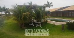 Fazenda de Cana e Pecuária à Venda 314,6 hectares Dupla Aptidão | Panorama/ SP