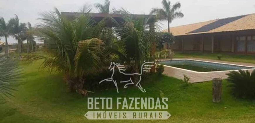 Fazenda de Cana e Pecuária à Venda 314,6 hectares Dupla Aptidão | Panorama/ SP
