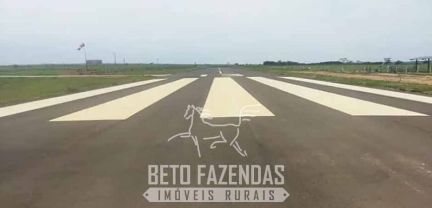 Fazenda de Cana e Pecuária à Venda 314,6 hectares Dupla Aptidão | Panorama/ SP
