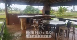 Fazenda de Cana e Pecuária à Venda 314,6 hectares Dupla Aptidão | Panorama/ SP