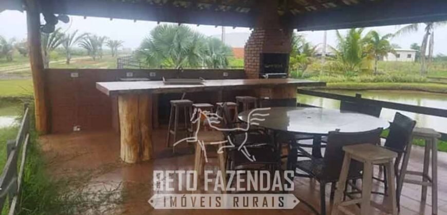 Fazenda de Cana e Pecuária à Venda 314,6 hectares Dupla Aptidão | Panorama/ SP