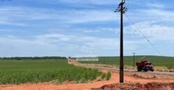 Fazenda de Cana e Pecuária à Venda 314,6 hectares Dupla Aptidão | Panorama/ SP