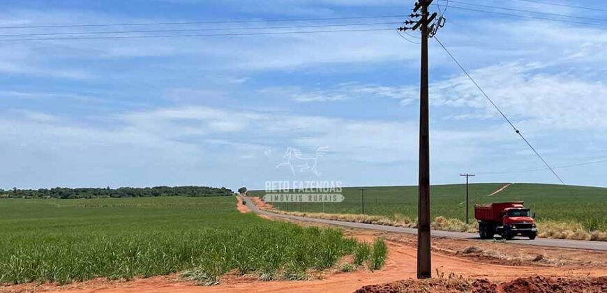 Fazenda de Cana e Pecuária à Venda 314,6 hectares Dupla Aptidão | Panorama/ SP