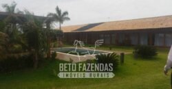 Fazenda de Cana e Pecuária à Venda 314,6 hectares Dupla Aptidão | Panorama/ SP