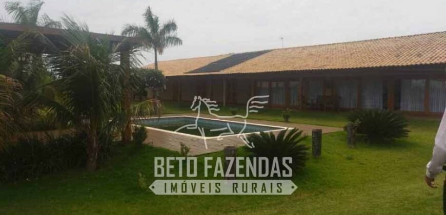 Fazenda de Cana e Pecuária à Venda 314,6 hectares Dupla Aptidão | Panorama/ SP