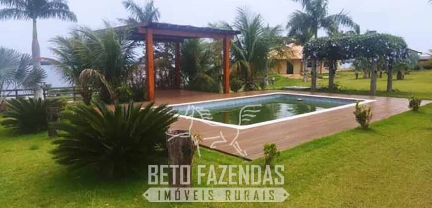 Fazenda de Cana e Pecuária à Venda 314,6 hectares Dupla Aptidão | Panorama/ SP