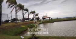 Fazenda de Cana e Pecuária à Venda 314,6 hectares Dupla Aptidão | Panorama/ SP
