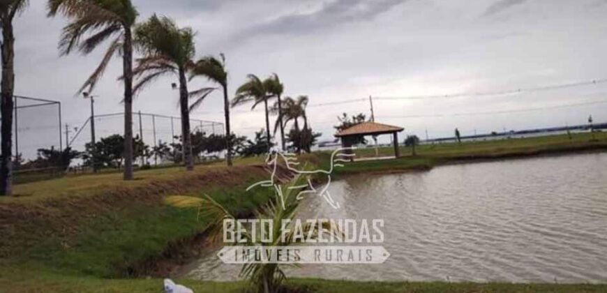 Fazenda de Cana e Pecuária à Venda 314,6 hectares Dupla Aptidão | Panorama/ SP