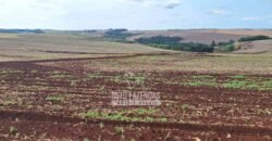Fazenda à Venda 1.437,48 Hectares Lavoura de Soja, Milho e Trigo | Cornélio Procópio/PR