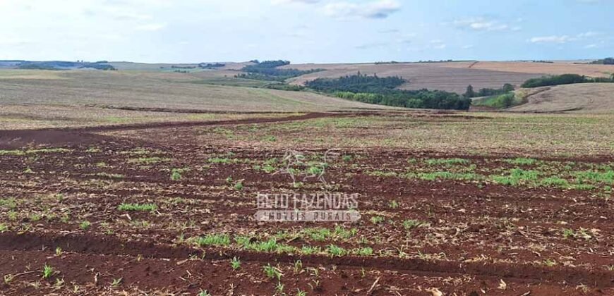 Fazenda à Venda 1.437,48 Hectares Lavoura de Soja, Milho e Trigo | Cornélio Procópio/PR