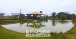 Fazenda de Cana e Pecuária à Venda 314,6 hectares Dupla Aptidão | Panorama/ SP