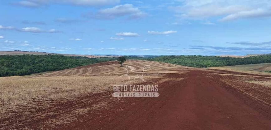 Fazenda à Venda 1.437,48 Hectares Lavoura de Soja, Milho e Trigo | Cornélio Procópio/PR
