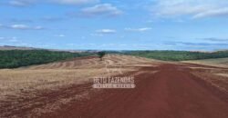 Fazenda de Soja e Grãos à Venda 1.437 hectares Outorga p/Irrigação | Cornélio Procópio/PR