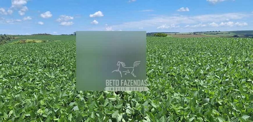Fazenda à Venda 1.437,48 Hectares Lavoura de Soja, Milho e Trigo | Cornélio Procópio/PR