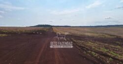 Fazenda de Soja e Grãos à Venda 1.437 hectares Outorga p/Irrigação | Cornélio Procópio/PR