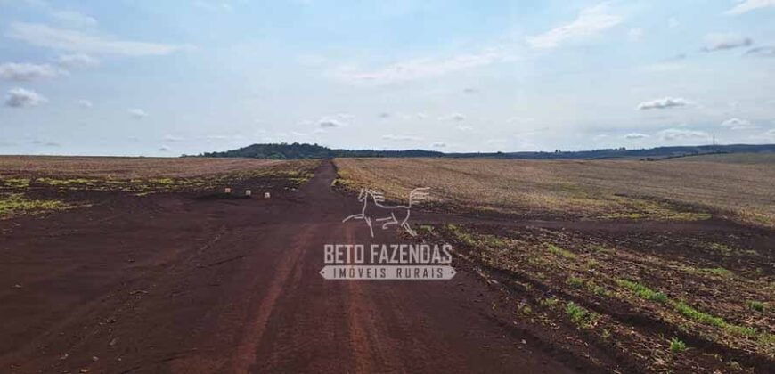 Fazenda de Soja e Grãos à Venda 1.437 hectares Outorga p/Irrigação | Cornélio Procópio/PR