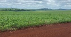 Fazenda à Venda 1.437,48 Hectares Lavoura de Soja, Milho e Trigo | Cornélio Procópio/PR