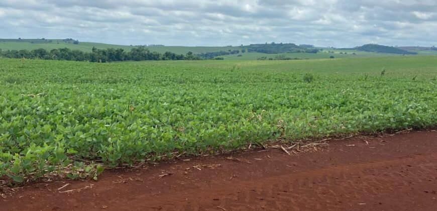 Fazenda à Venda 1.437,48 Hectares Lavoura de Soja, Milho e Trigo | Cornélio Procópio/PR