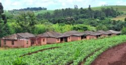 Fazenda à Venda 1.437,48 Hectares Lavoura de Soja, Milho e Trigo | Cornélio Procópio/PR
