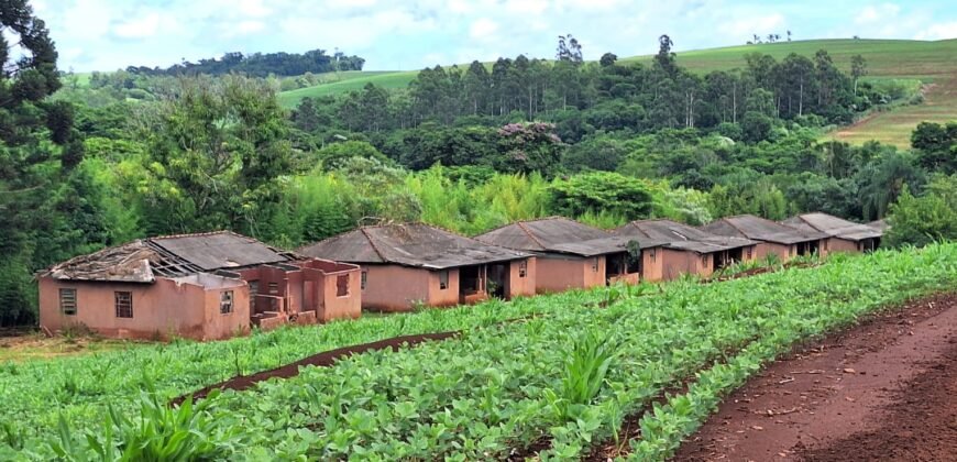Fazenda à Venda 1.437,48 Hectares Lavoura de Soja, Milho e Trigo | Cornélio Procópio/PR