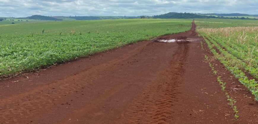 Fazenda à Venda 1.437,48 Hectares Lavoura de Soja, Milho e Trigo | Cornélio Procópio/PR