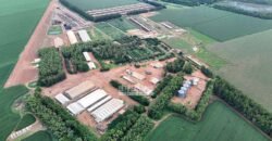 Fazendaà Venda 20.190 Hectares Dupla Aptidão Lavoura e Pecuária | Campo Verde/ MT