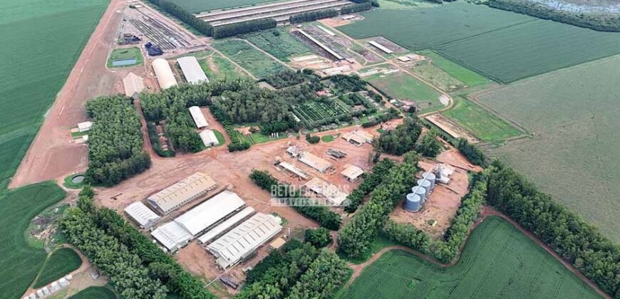 Fazendaà Venda 20.190 Hectares Dupla Aptidão Lavoura e Pecuária | Campo Verde/ MT