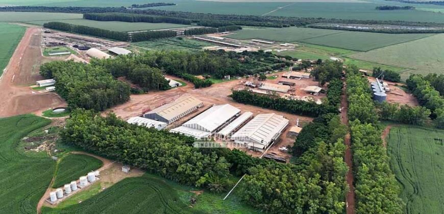 Fazendaà Venda 20.190 Hectares Dupla Aptidão Lavoura e Pecuária | Campo Verde/ MT