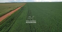 Fazendaà Venda 20.190 Hectares Dupla Aptidão Lavoura e Pecuária | Campo Verde/ MT