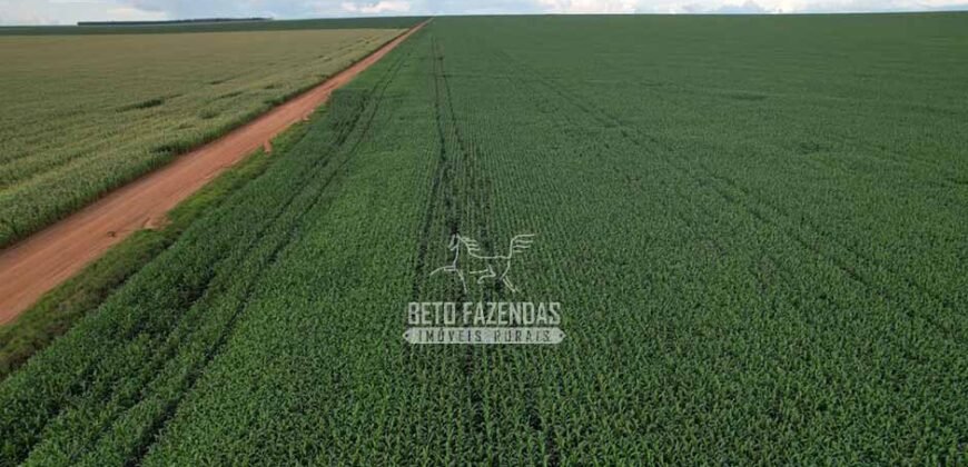 Fazendaà Venda 20.190 Hectares Dupla Aptidão Lavoura e Pecuária | Campo Verde/ MT