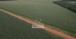 Fazendaà Venda 20.190 Hectares Dupla Aptidão Lavoura e Pecuária | Campo Verde/ MT