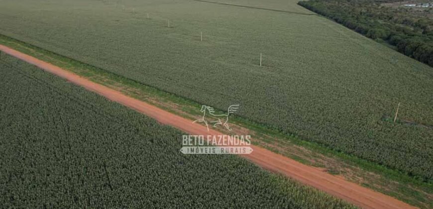 Fazendaà Venda 20.190 Hectares Dupla Aptidão Lavoura e Pecuária | Campo Verde/ MT