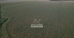 Fazendaà Venda 20.190 Hectares Dupla Aptidão Lavoura e Pecuária | Campo Verde/ MT